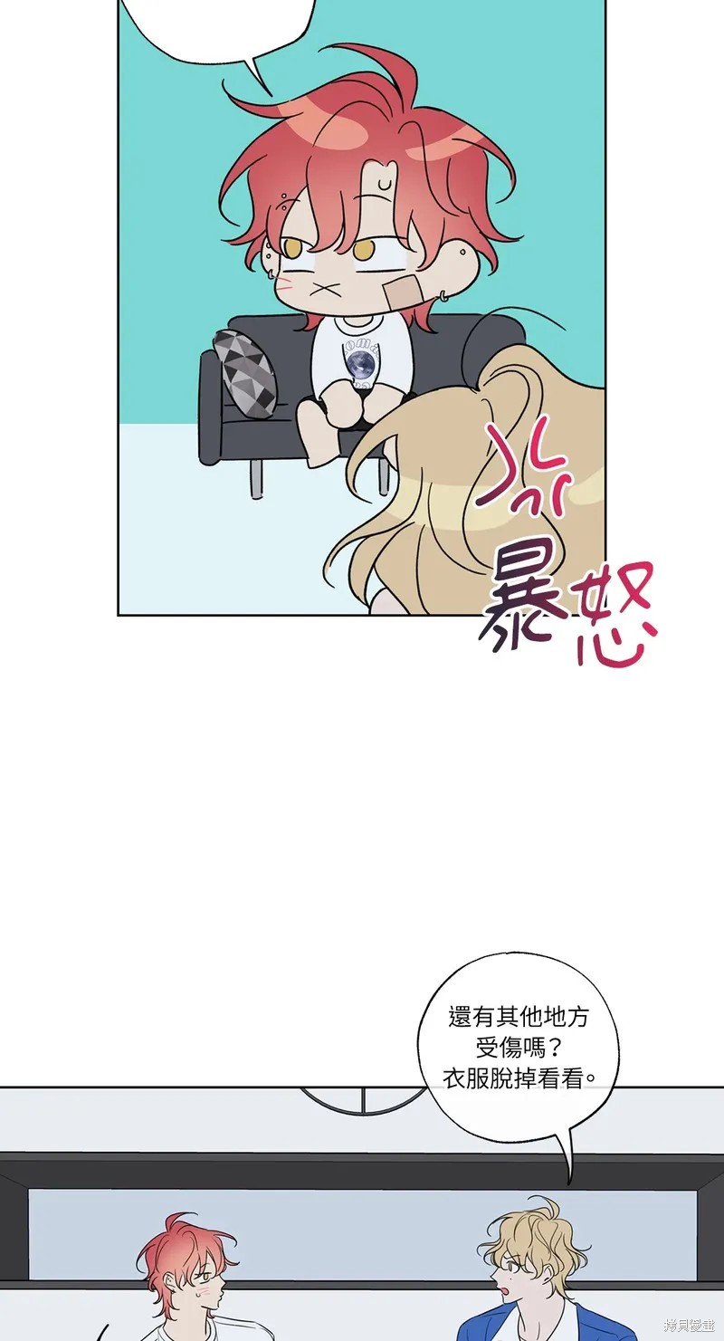 50.jpg