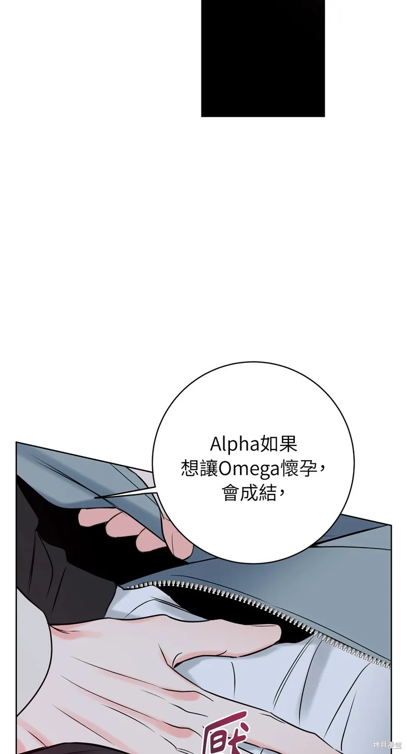74.jpg