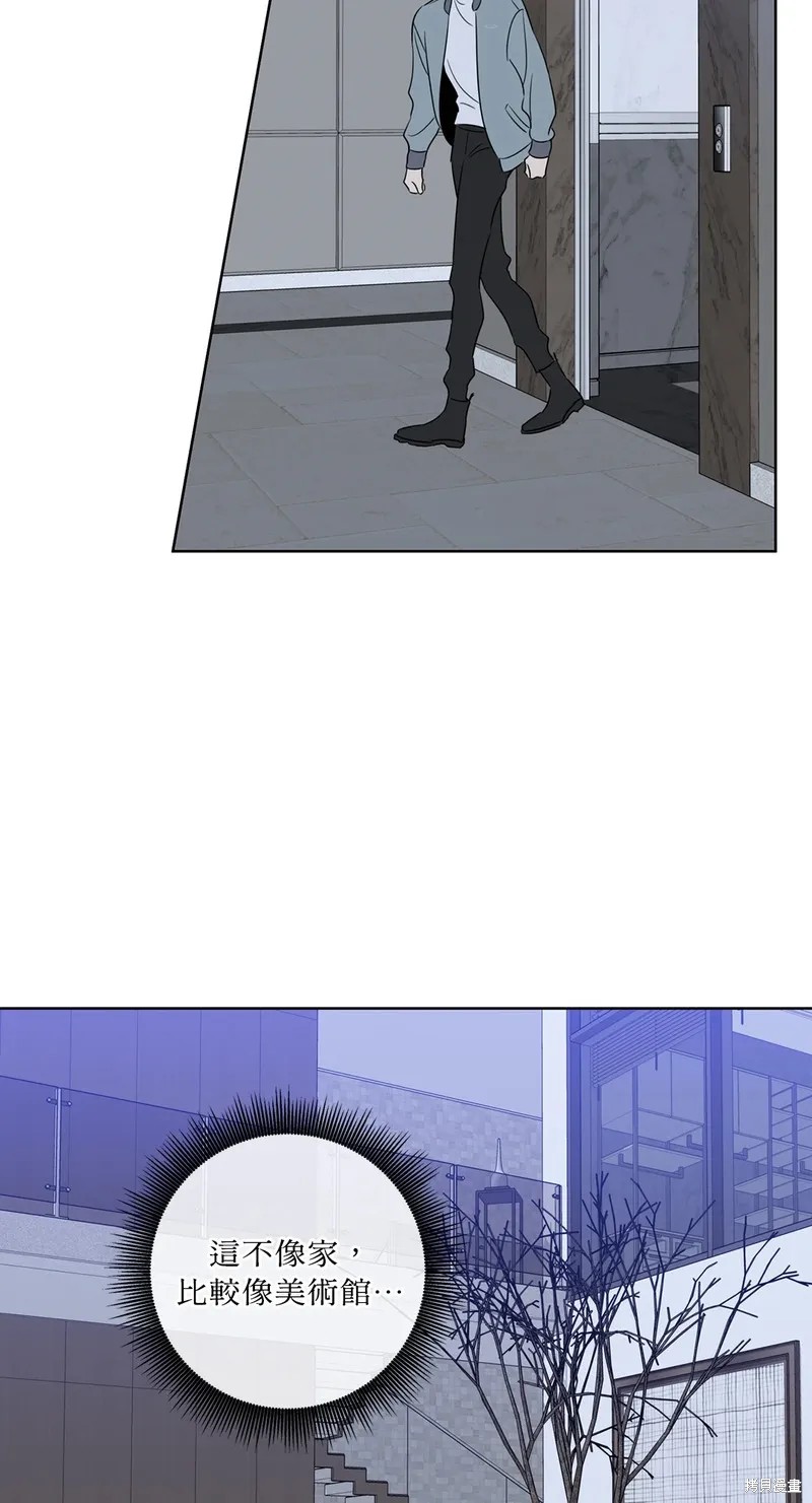 41.jpg